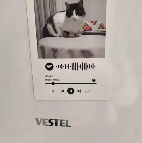 Album