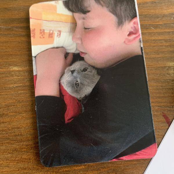 Yorum fotoğraf
