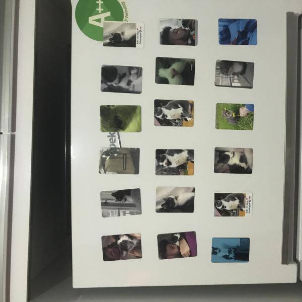 Yorum fotoğraf