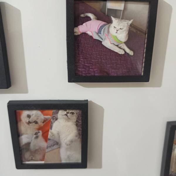 Yorum fotoğraf