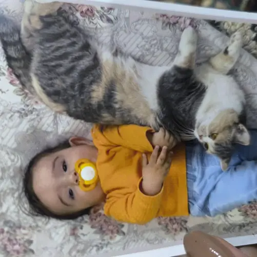 Yorum fotoğraf