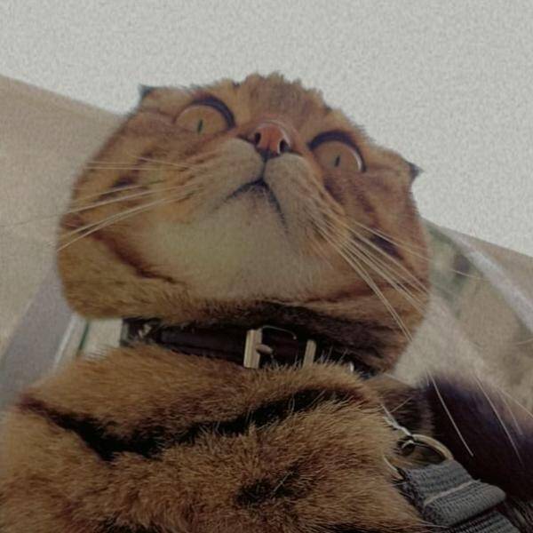 Yorum fotoğraf